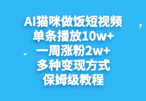 AI猫咪做饭短视频，单条播放10w+，一周涨分2w+，多种变现方式，保姆级教程-生财赚 -赚钱新动力