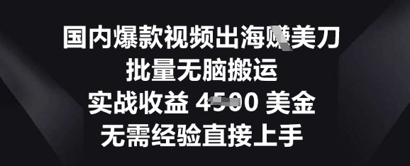 国内爆款视频出海挣美刀，批量无脑搬运，实战收益4.5k，无需经验直接上手-生财赚 -赚钱新动力