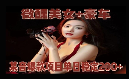 微醺美女+豪车，抖音爆款项目单日稳定2张+-生财赚 -赚钱新动力