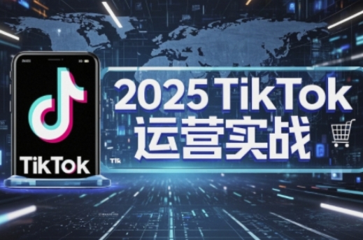 2025TikTok电商运营，掌握TikTok店铺运营核心技巧，实现低成本高转化-生财赚 -赚钱新动力
