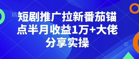 短剧推广拉新番茄锚点半月收益1万+大佬分享实操-生财赚 -赚钱新动力