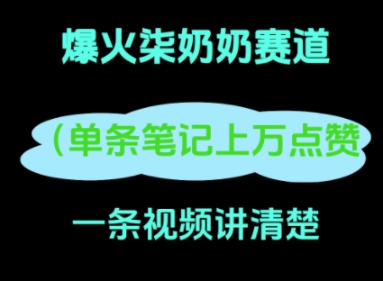 小红书爆火柒奶奶，13 天涨粉 8.7 W，全流程拆解-生财赚 -赚钱新动力
