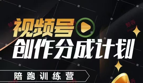 视频号创作分成计划陪跑训练营，手把手教会你如何制作视频，细水长流型项目-生财赚 -赚钱新动力