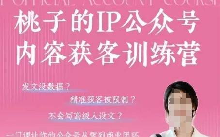 桃子IP公众号内容获客训练营(第3期)，一门让你公众号从0到商业闭环的课程-生财赚 -赚钱新动力