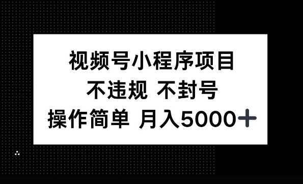 视频号小程序项目，不违规不封号，操作简单 月入5000+-生财赚 -赚钱新动力