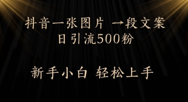 每天2分钟，抖音一张图片 一段文案日引流500粉-生财赚 -赚钱新动力