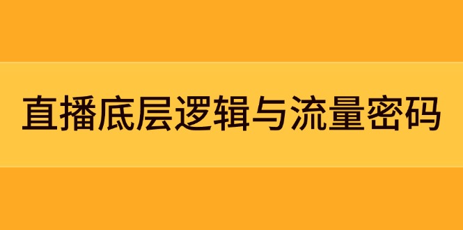 （14695期）直播底层逻辑与流量密码：定位模型+案例拆解，急速流承接与数据优化全攻略-生财赚 -赚钱新动力