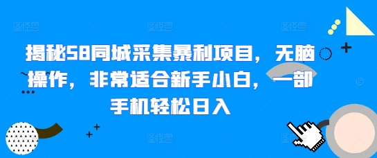 揭秘58同城采集暴利项目，无脑操作，非常适合新手小白，一部手机轻松日入-生财赚 -赚钱新动力