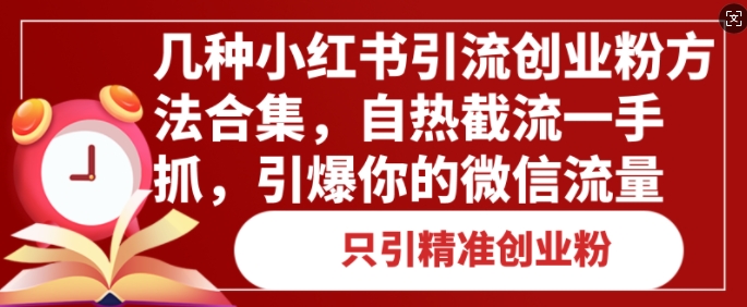 几种小红书引流创业粉方法合集，自热截流一手抓，引爆你的微信流量-生财赚 -赚钱新动力