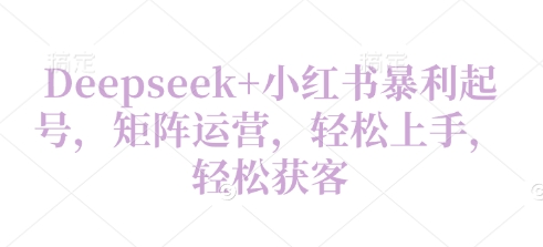 Deepseek+小红书暴利起号，矩阵运营，轻松上手，轻松获客-生财赚 -赚钱新动力