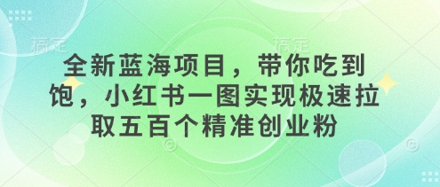 全新蓝海项目，带你吃到饱，小红书一图实现极速拉取五百个精准创业粉-生财赚 -赚钱新动力