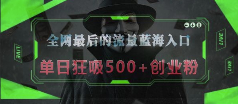 全网最后的流量蓝海入口，半小时引流50+创业粉，单日狂吸500+创业粉-生财赚 -赚钱新动力