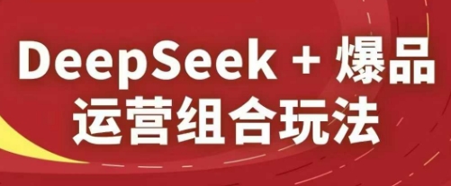 DeepSeek+爆品运营组合玩法，2025淘系精品课-生财赚 -赚钱新动力