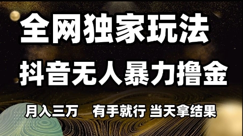 全网独家玩法抖音无人暴力撸金，月入3W，有手就行，当天拿结果【揭秘】-生财赚 -赚钱新动力