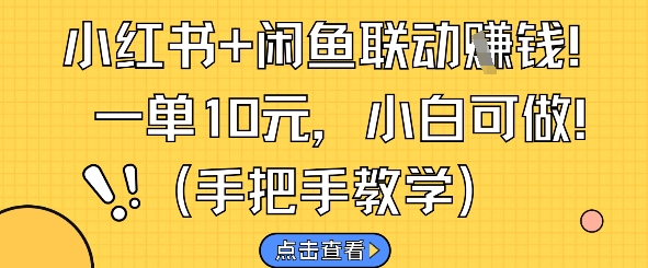 小红书+闲鱼联动挣钱，一单10元，小白可做-生财赚 -赚钱新动力