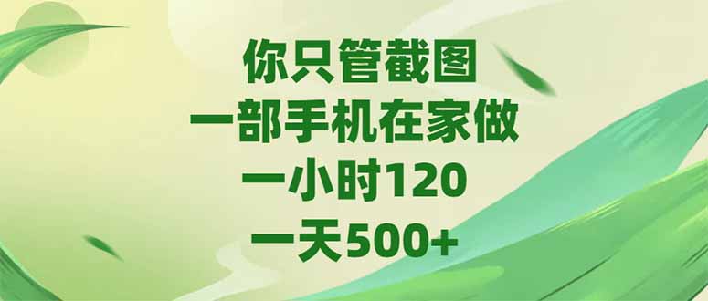 （15039期）你只管截图，一部手机在家做，一小时120，-天500+-生财赚 -赚钱新动力