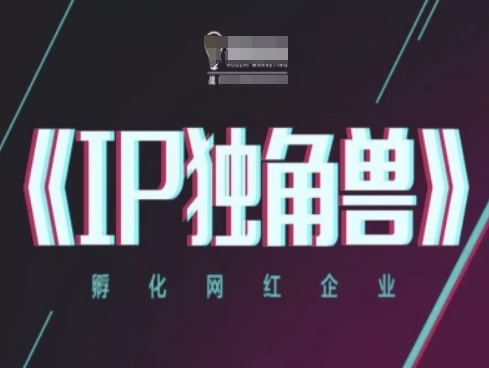 IP独角兽，孵化网红企业，ip教程-生财赚 -赚钱新动力