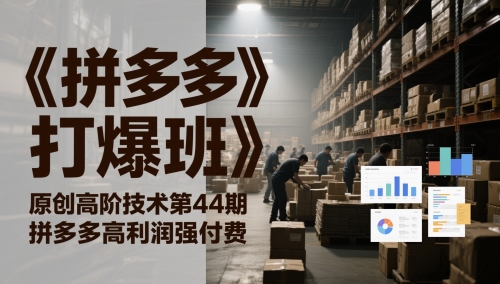 《拼多多打爆班》原创高阶技术第44期，拼多多高利润强付费-生财赚 -赚钱新动力