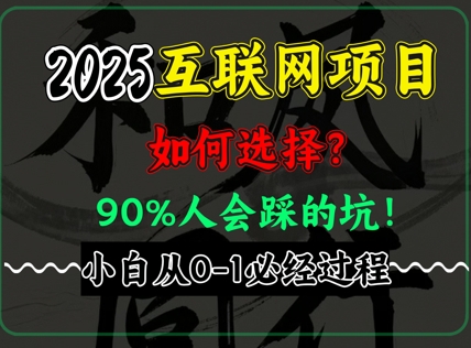 2025年互联网项目搞钱方法论，全是干货，肺腑之言，新手从0-1必经过程，边看边实操-生财赚 -赚钱新动力