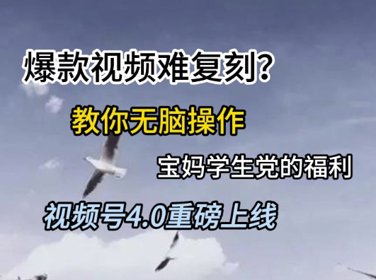视频号4.0重磅上线，爆款视频难复刻？教你无脑操作宝妈学生党的福利【揭秘】-生财赚 -赚钱新动力