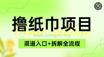 低价撸纸0元免单_项目拆解全流程+渠道入口-生财赚 -赚钱新动力