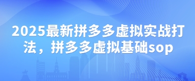 2025最新拼多多虚拟实战打法，拼多多虚拟基础sop-生财赚 -赚钱新动力