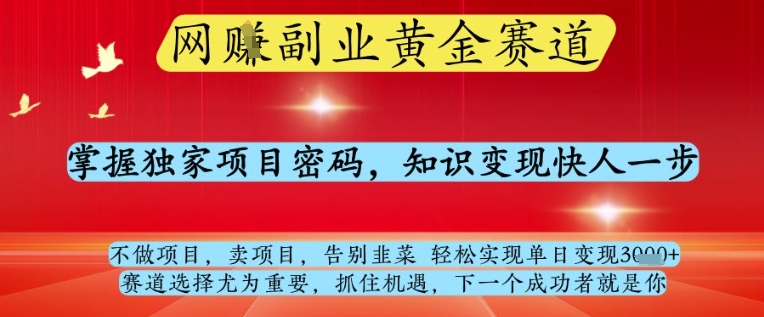 网创副业黄全赛道，掌握独家项目密码，知识变现快人一步，告别韭菜轻松实现单日变现1k+【揭秘】-生财赚 -赚钱新动力