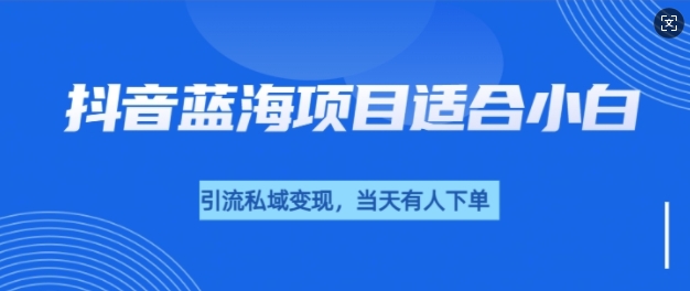 抖音蓝海小赛道私域变现项目，单价9.9单天变现100+，实操玩法分享给你-生财赚 -赚钱新动力