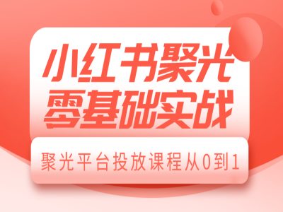 小红书聚光零基础实战，聚光平台投放课程从0到1-生财赚 -赚钱新动力