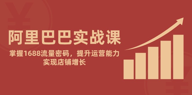 （14830期）阿里巴巴实战课：掌握1688流量密码，提升运营能力，实现店铺增长-生财赚 -赚钱新动力