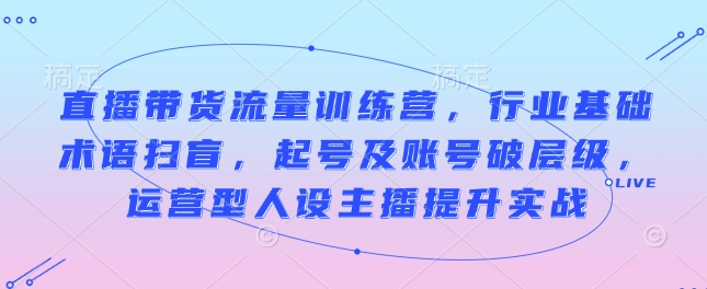 直播带货流量训练营，行业基础术语扫盲，起号及账号破层级，运营型人设主播提升实战-生财赚 -赚钱新动力