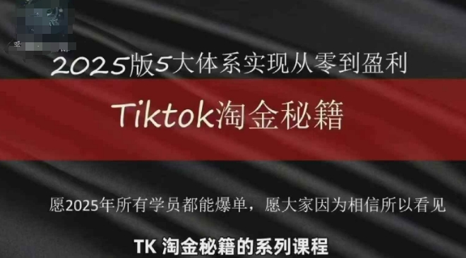 TikTok跨境2025淘金秘籍，​2025TikTok从0到盈利变现-生财赚 -赚钱新动力