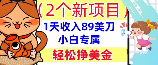 2个新项目，轻松挣美金， 1天收入89美刀，小白专属，干货分享-生财赚 -赚钱新动力