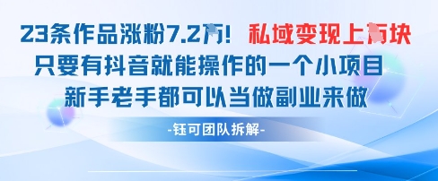 抖音私域项目23条作品涨粉7.2W，私域变现1W-生财赚 -赚钱新动力
