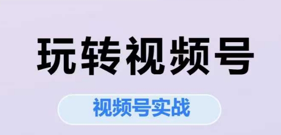 玩转视频号，视频号实战系列课-生财赚 -赚钱新动力