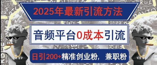 2025年最新引流方法，音频平台0成本引流，日引200+精准创业粉-生财赚 -赚钱新动力