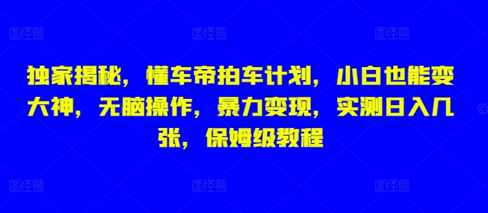 独家揭秘，懂车帝拍车计划，小白也能变大神，无脑操作，暴力变现，实测日入几张，保姆级教程-生财赚 -赚钱新动力