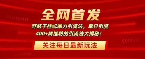 全网首发，野路子暴力引流法，单日引流400+精准粉的引流法大揭秘-生财赚 -赚钱新动力