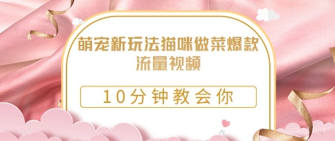 萌宠新玩法猫咪做菜爆款流量视频，10分钟教会你-生财赚 -赚钱新动力