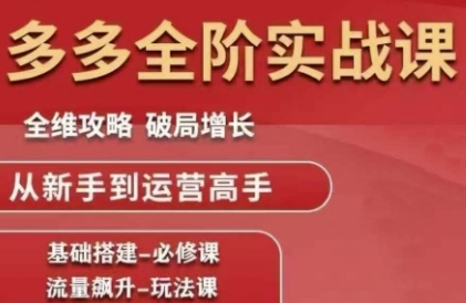 拼多多全阶实战课程，全维攻略，破局增长，从新手到运营高手-生财赚 -赚钱新动力