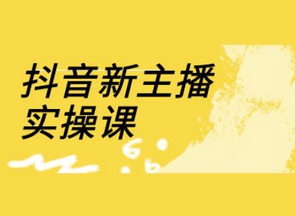 抖音新主播实操课，直播间流量运营线上实操课(18节)-生财赚 -赚钱新动力