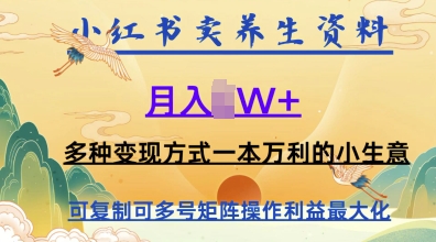 在小红书上卖养生资料，月入1w+，多种变现方式一本万利的小生意-生财赚 -赚钱新动力