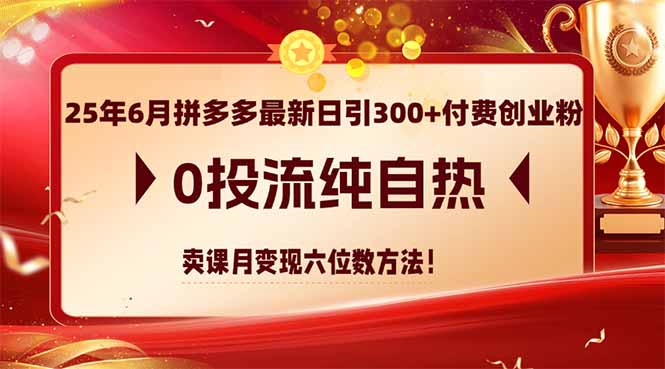 （14989期）25年6月拼多多最新日引300+付费创业粉，0投流纯自热 卖课月变现六位数方法-生财赚 -赚钱新动力