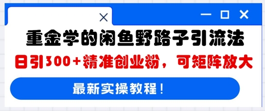 重金学的闲鱼野路子引流法，日引300+精准创业粉，可矩阵放大-生财赚 -赚钱新动力