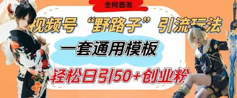 视频号“野路子”玩法，评论区疯狂截流，一套模板单日单号引流50+创业粉-生财赚 -赚钱新动力