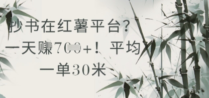 抄书在小红薯平台？平均一单30米，一天收益几张！-生财赚 -赚钱新动力