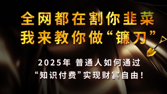 全网都在割你韭菜，我来教你做镰刀，2025普通人如何通过知识付费，实现财F自由【揭秘】-生财赚 -赚钱新动力