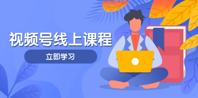 （14360期）视频号实战课程，轻IP打造与运营技巧，掌握核心方法与策略-生财赚 -赚钱新动力