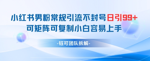 小红书男粉常规引流不封号日引99+变现简单 可矩阵可复制小白容易上手-生财赚 -赚钱新动力