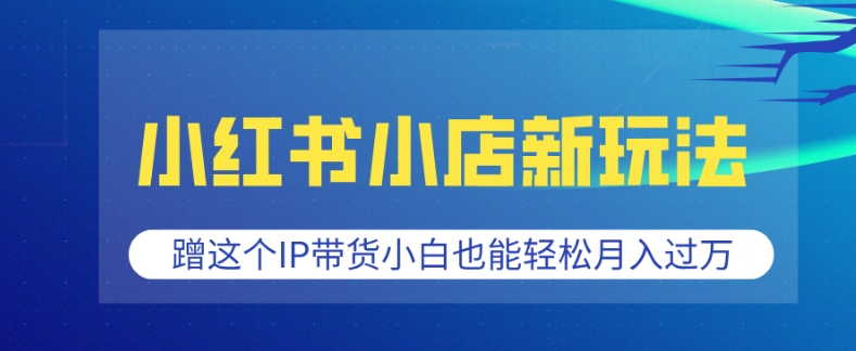 小红书小店新玩法，蹭这个IP带货，小白也能轻松月入过W【揭秘】-生财赚 -赚钱新动力